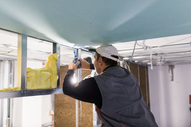 Best Insulation Contractor Near Me  in Celina, TX