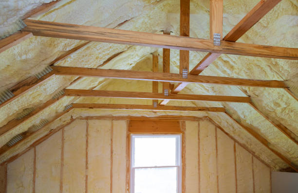 Best Garage Insulation Installation  in Celina, TX