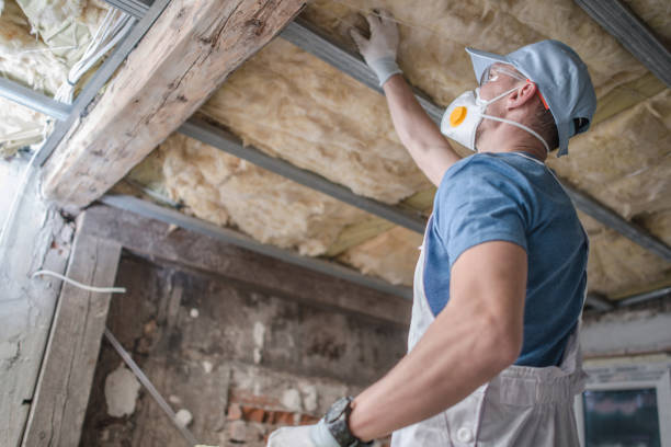 Insulation for Commercial Buildings in Celina, TX