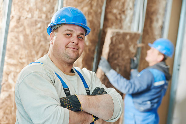 Best Home Insulation Services  in Celina, TX
